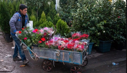 سوق الزهور على اعتاب عيد النوروز