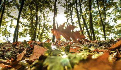 16 صورة بانورامية لظلال الخريف الساحرة من الشرق إلى الغرب