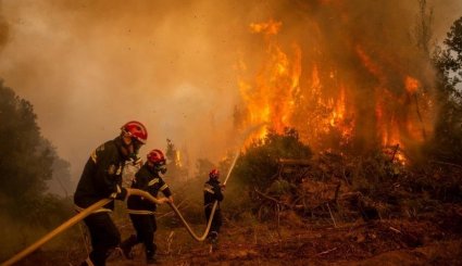 شاهد.. حرائق الغابات تصل إلى المنازل في الجزائر