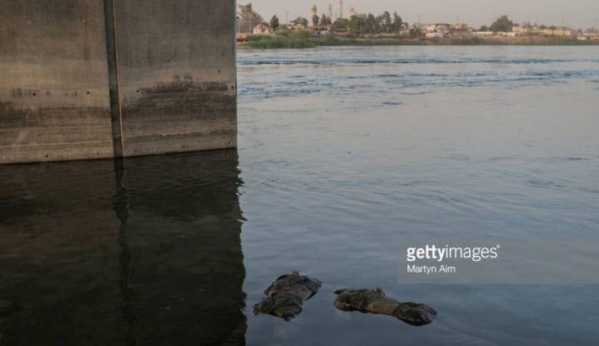 جنازه دو داعشی در رودخانه موصل + عکس 