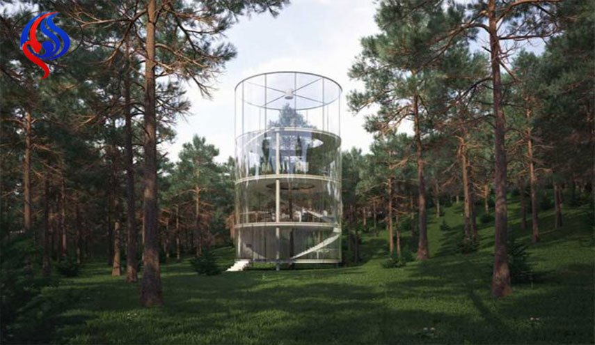 نگاهی به طراحی جالب خانه درختی شیشه ای + عکس