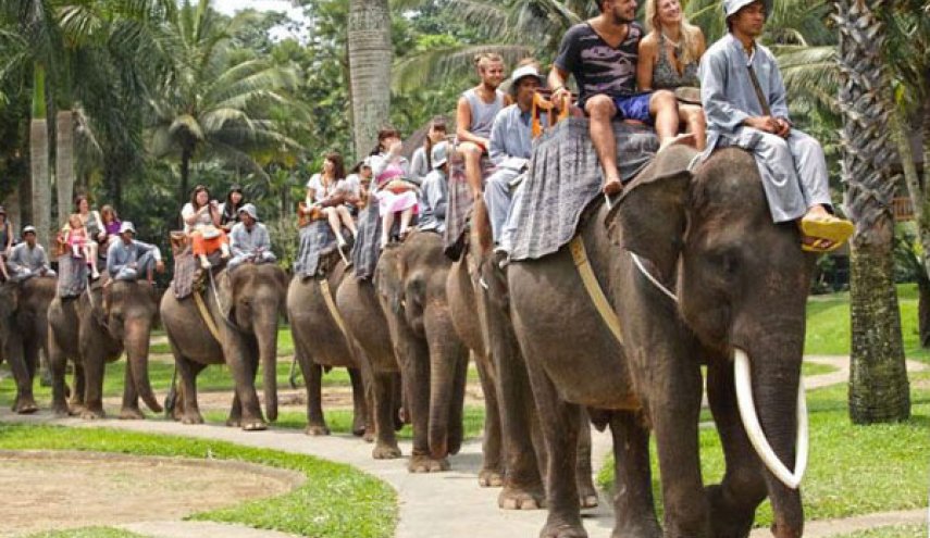 Elephants help rescue hundreds from flooded Nepali safari park

