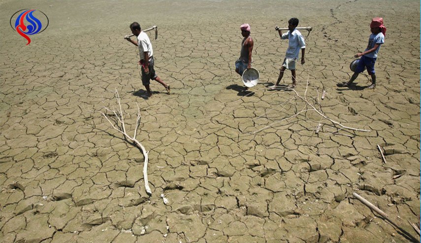 خودکشی 34 کشاورز هندی به دلیل کاهش باران!
