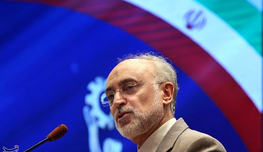 Iran in talks with Euratom on cooperation in Quantum Technology: Nuclear Chief
