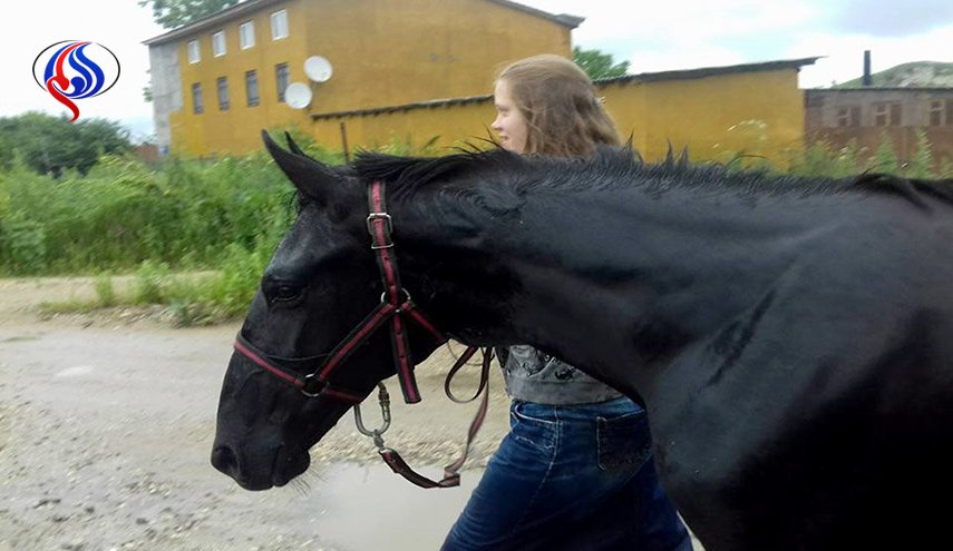 چه کسی اسب پوتین را دزدید؟ + عکس