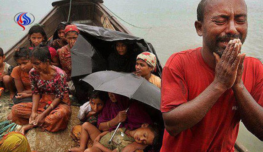 الازهر خواستار تحرک جهانی برای توقف کشتار مسلمانان در میانمار شد