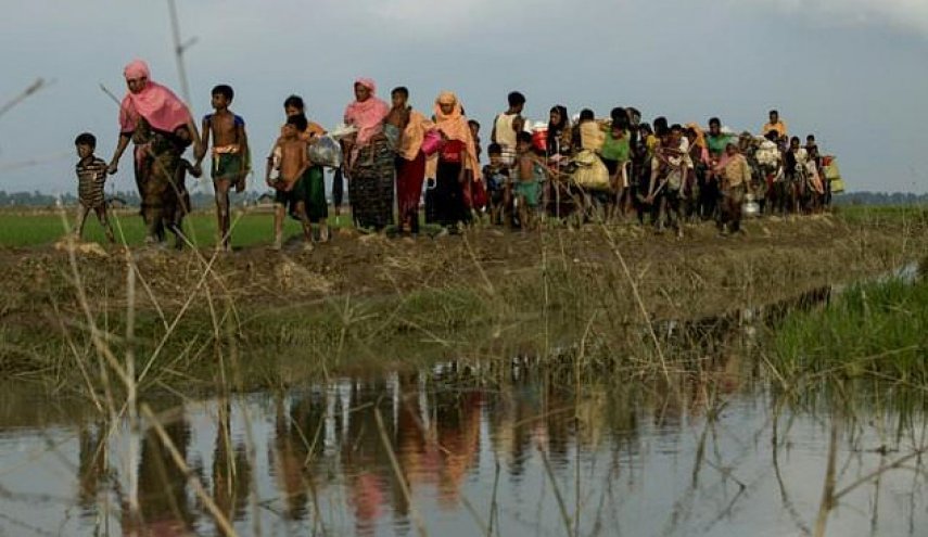 UN to discuss Myanmar after Rohingya 'ethnic cleansing' claim
