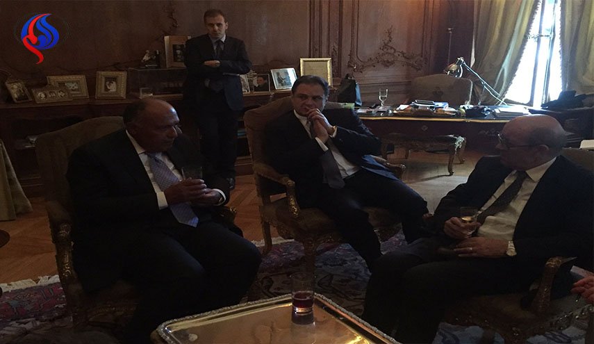 وزير الخارجية المصري يلتقي نظيره الفرنسي في فرنسا
