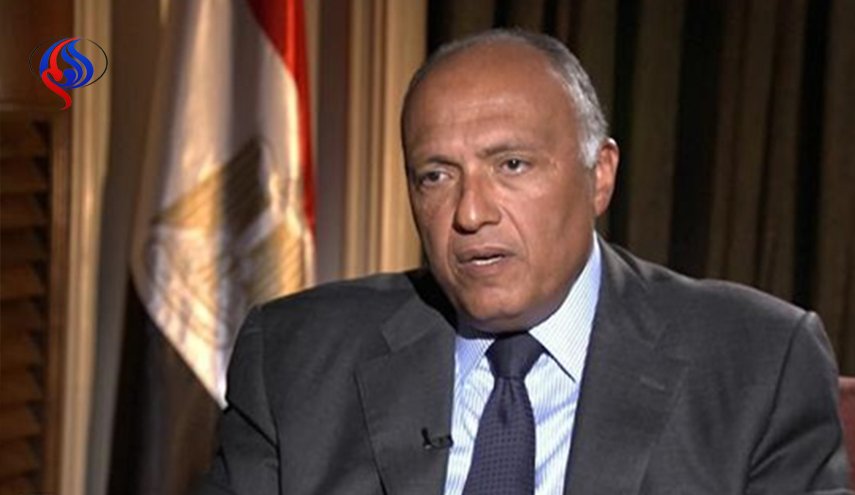 وزير الخارجية المصري يكشف سبب التدخلات الإسرائيلية العسكرية في سوريا