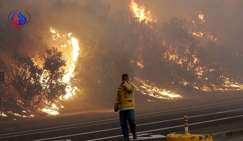 آتش سوزی‌ گسترده در کالیفرنیا؛ ۱۵ نفر کشته شدند+تصاویر