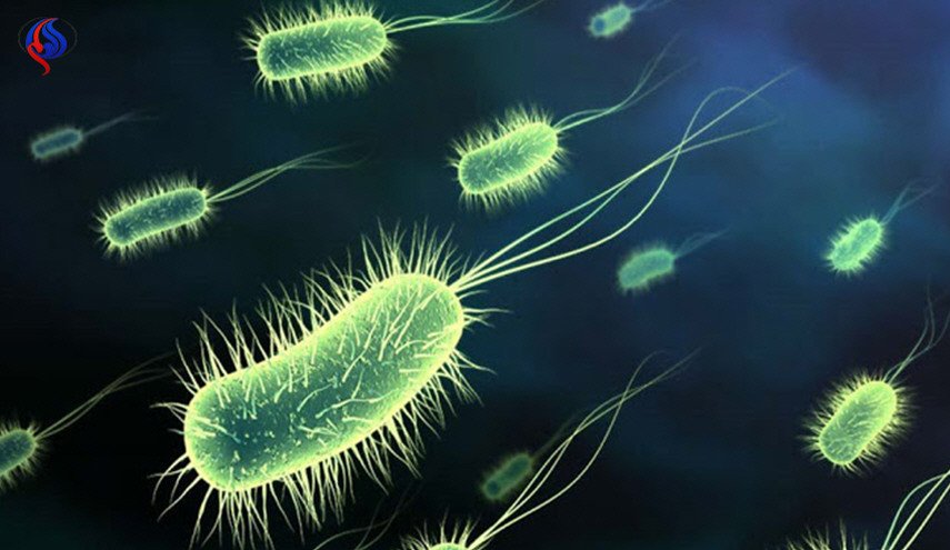 مفاجاة صادمة... نحو 80% من اللبنانيين مصابون بهذه الباكتيريا!
