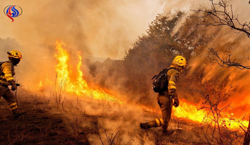 الحرائق تقتل نحو 30 شخصا في البرتغال وإسبانيا