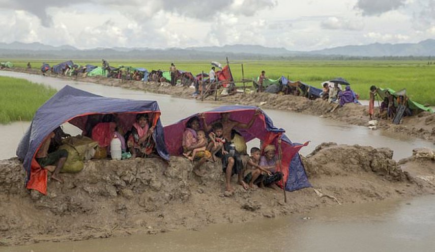Amnesty says Myanmar killed hundreds of Rohingya