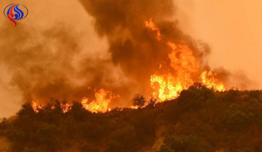 ارتفاع عدد قتلى حرائق الغابات في كاليفورنيا إلى 42 قتيلا