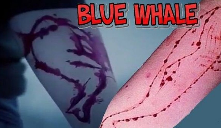 نهنگ آبی در ایران قربانی گرفت! 