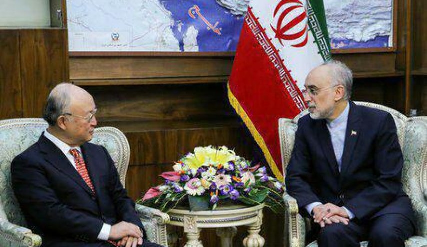 IAEA chief, Iran top nuclear official meet in Tehran
