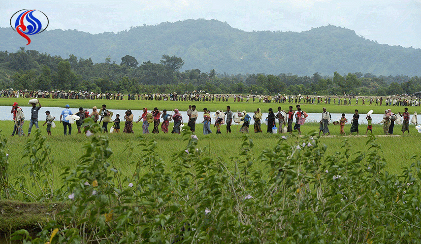 سلطات ميانمار تستولي على ارز الروهينغا بعد حملة التطهير العرقي