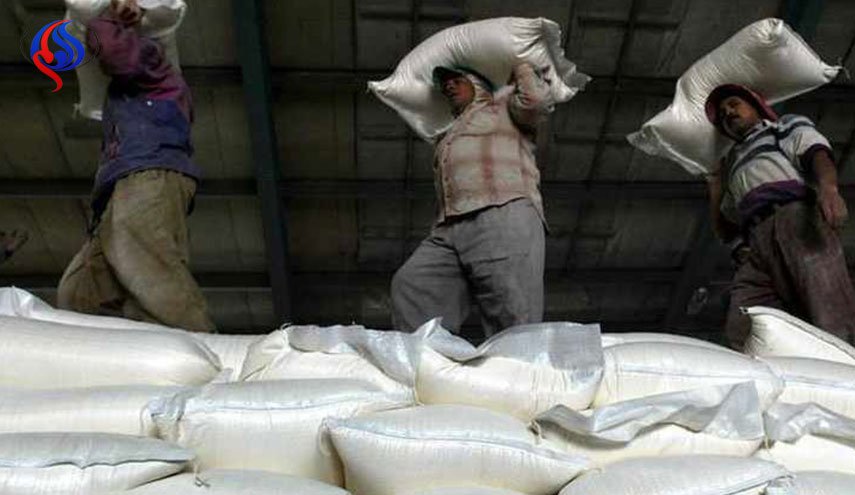 العراق يعلن شراء 500 ألف طن من القمح الأميركي