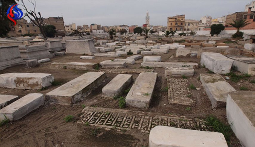 شاهد بالصور، اكتشاف مقبرة ملكية أثرية سكانها «ليسوا بشراً»
