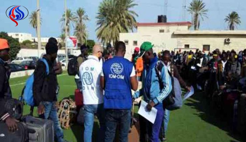 ترحيل 25 مهاجرا من طرابلس إلى نيامي
