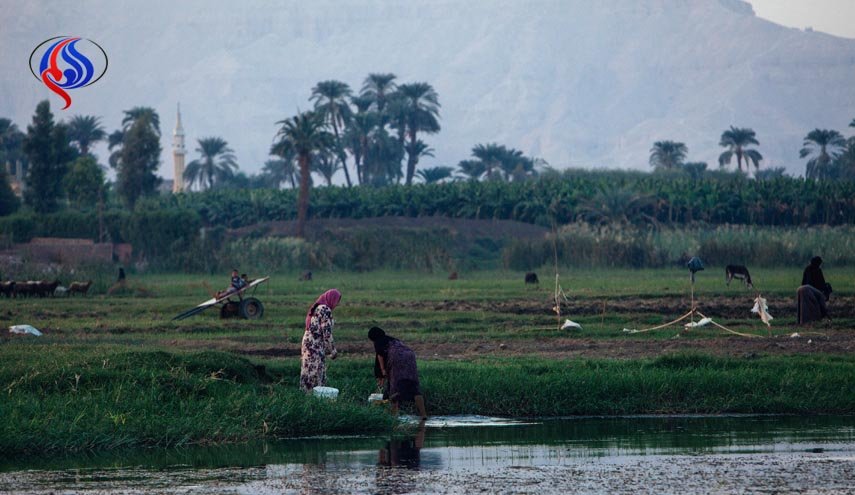وزارة الري المصرية: دلتا النيل في خطر