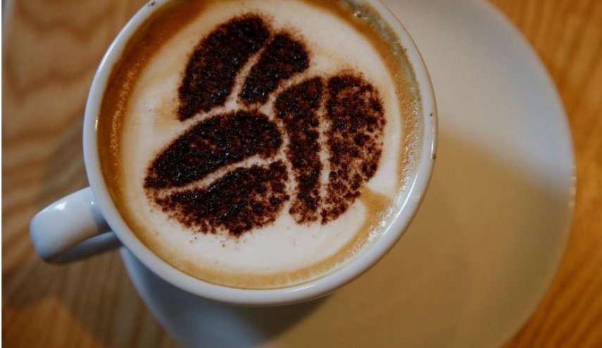 Three coffees a day linked to more health than harm: study