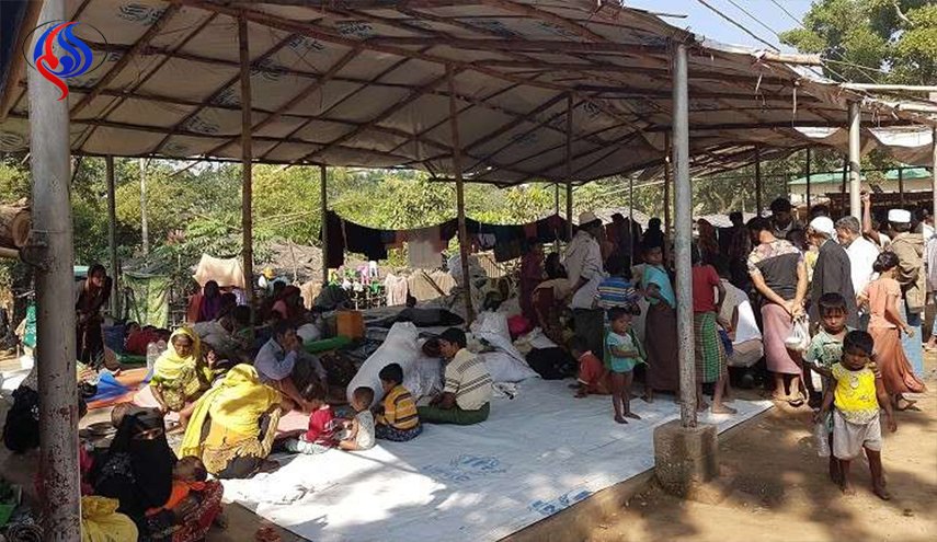 السلطات الهندية تعتزم ترحيل اللاجئين الروهينغا