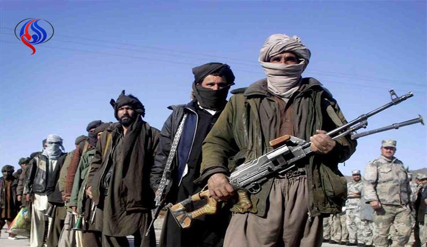 طالبان تسعى للحفاظ على إنتاج المخدرات