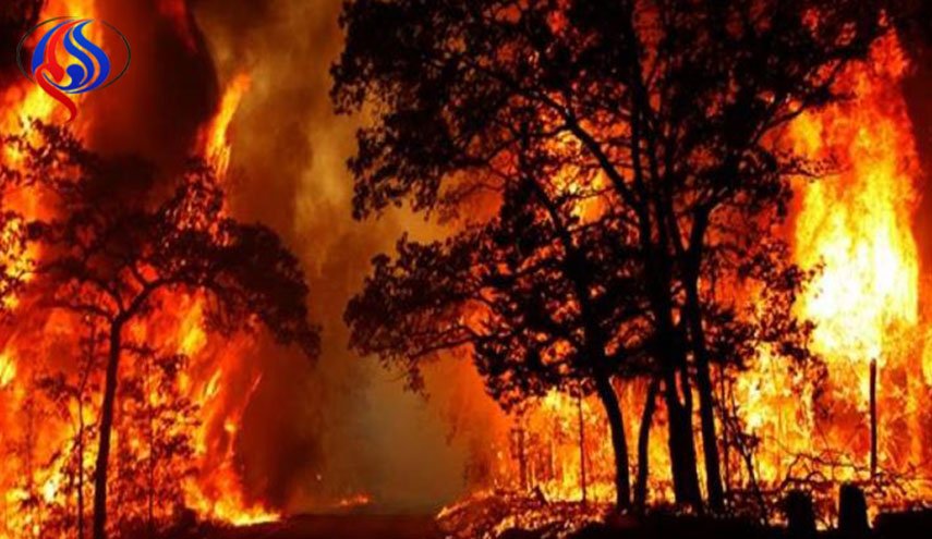 تدمير 500 مبنى ونزوح 190 ألف شخص جراء حرائق كاليفورنيا
