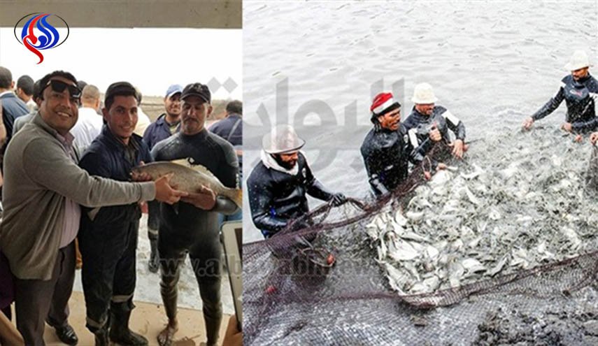 اكبر مشروع استزراع سمكي مصري في العالم