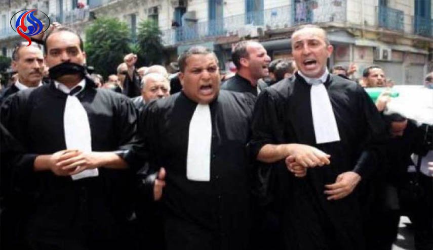المحامون الجزائریون يستعدون لبدء حركات احتجاجية 