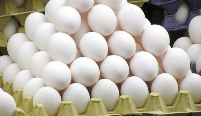 علت گرانی تخم‌مرغ چیست؟ 