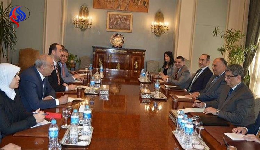 مصر تؤكد دعمها لحل سياسي للأزمة السورية