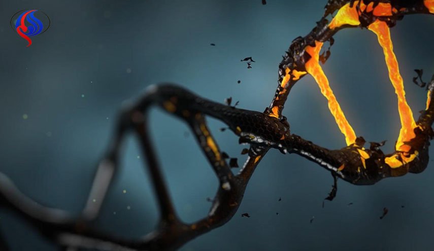 تخریب ژن‌های DNA با مصرف الکل