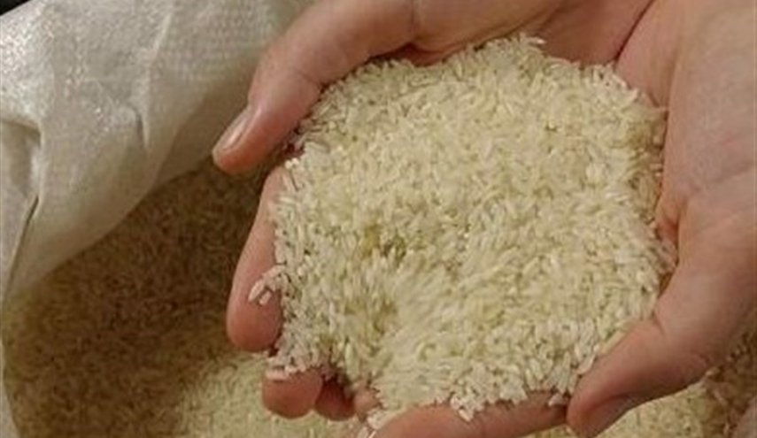 آغاز خرید تضمینی برنج به قیمت ۹۱۰۰ تومان از فردا
