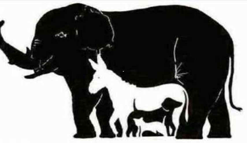 كم عدد الحيوانات في هذه الصورة؟ الجواب صادم!
