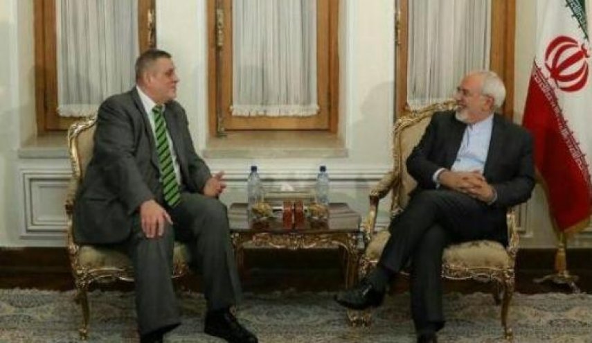 ظریف با نماینده دبیر کل سازمان ملل متحد در امور عراق دیدار کرد