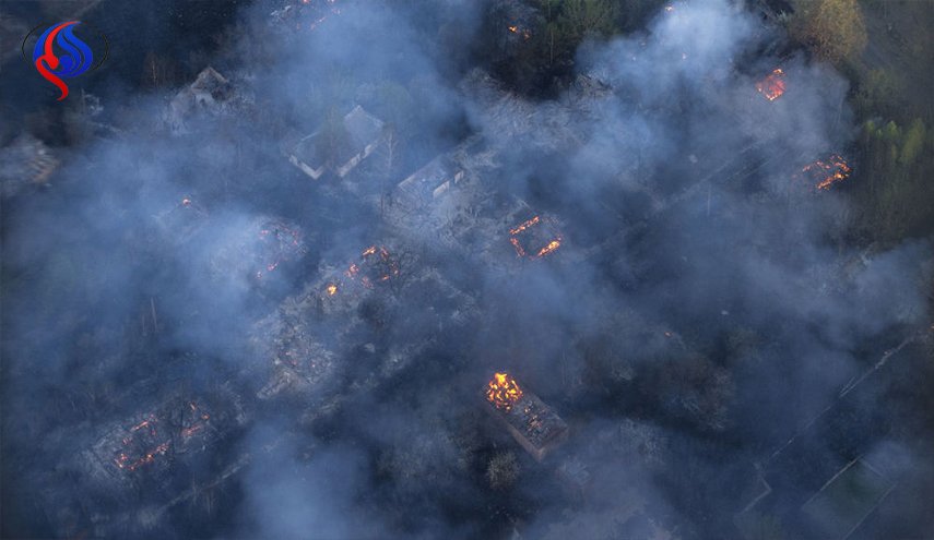 ما هي عقوبة من يضرم النار في الغابات السورية؟!