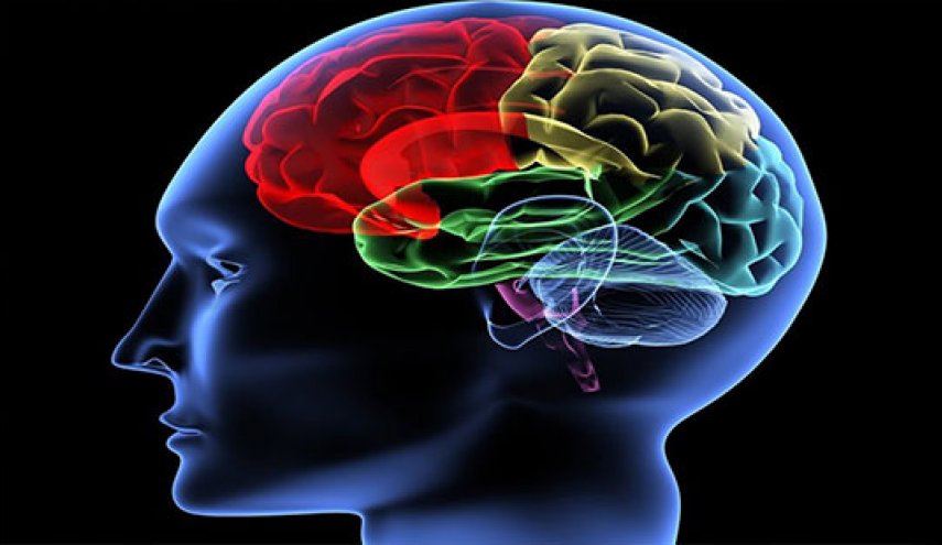 کلسیم اضافی در مغز منجر به پارکینسون می‌شود