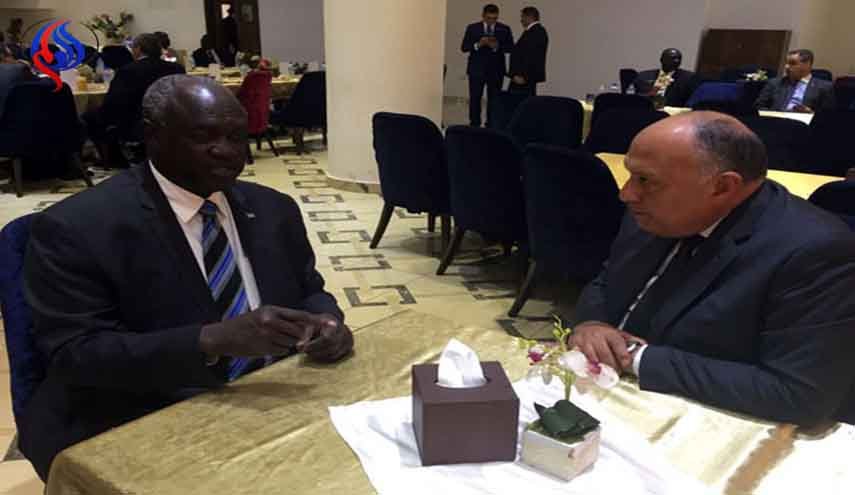 سامح شكري يؤكد على دعم مصر لاستقرار جنوب السودان