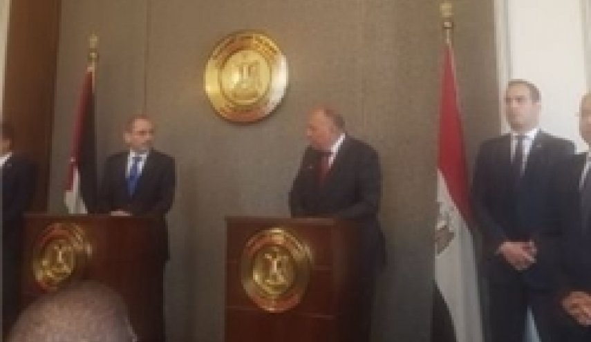 وزیر خارجه مصر: جامعه جهانی باید به مسئولیت خود در قبال فلسطینیان عمل کند