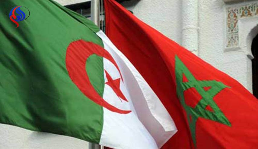 رسميا: الجزائر تدعم المغرب لاستضافة مونديال 2026