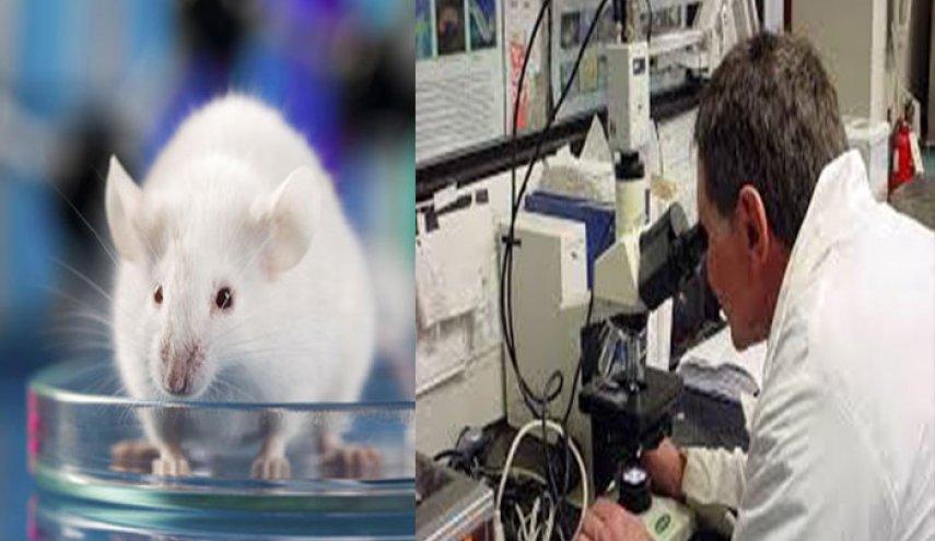 شكوك حول نتائج الأبحاث الطبية على الحيوانات!
