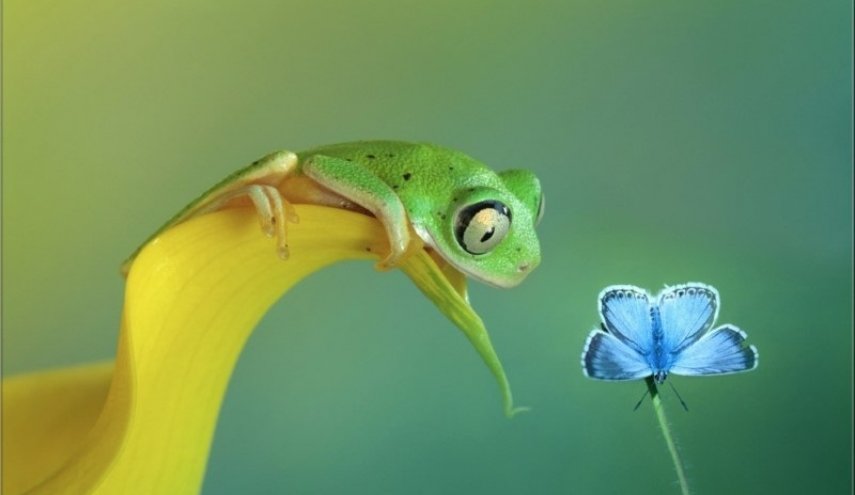 لقطات بالوقت المناسب تعرض جمال العالم من حولنا وليست فوتوشاب 