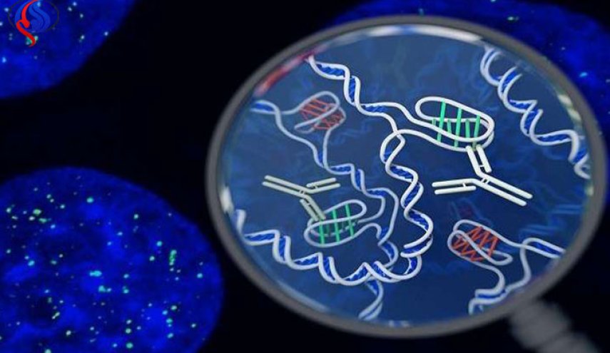 لأول مرة.. رصد شكل جديد غامض من الحمض النووي داخل خلايا بشرية!!