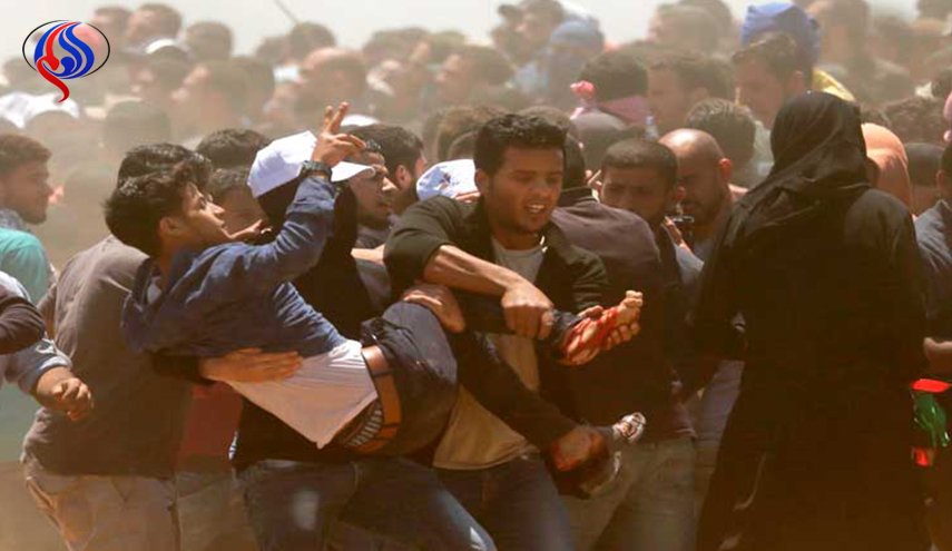 إدانة نيوزيلندية للمجزرة الإسرائيلية في غزة