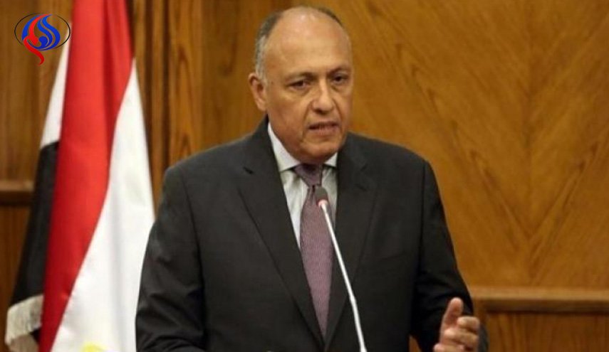 وزير الخارجية  المصري يتوجه إلى الجزائر...والسبب؟