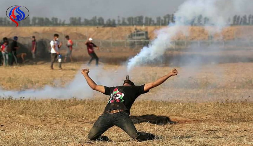 شاهد.. فلسطيني يسخر من قنابل الغاز الاسرائيلية