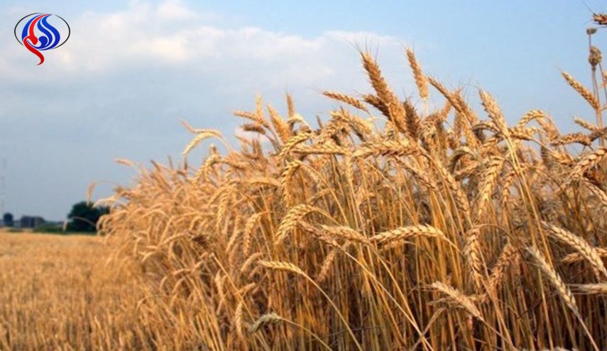 الانتاج الزراعي الايراني ينمو 25 بالمئة في 5 سنوات
