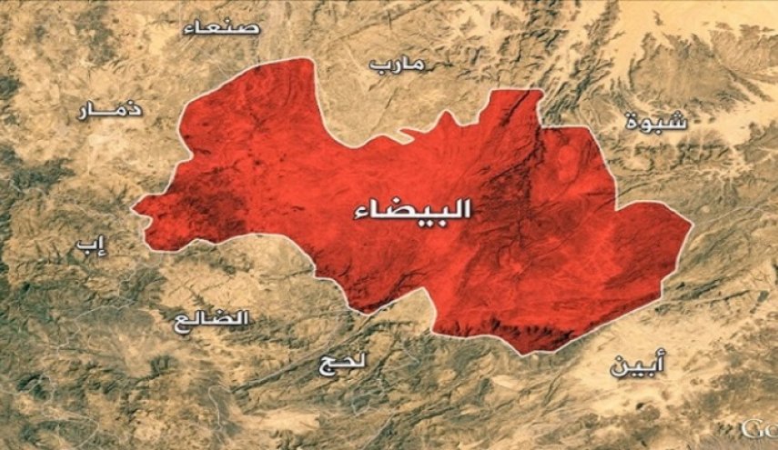 القوات اليمنية توقع خسائر فادحة بالمرتزقة في التبة الحمراء بالبيضاء
